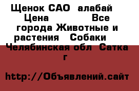 Щенок САО (алабай) › Цена ­ 10 000 - Все города Животные и растения » Собаки   . Челябинская обл.,Сатка г.